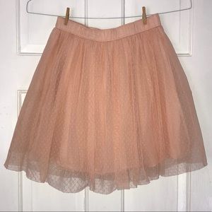 Tulle Skirt
